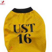 Load image into Gallery viewer, UST Jersey Shirt

