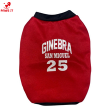 Load image into Gallery viewer, Ginebra San Miguel
