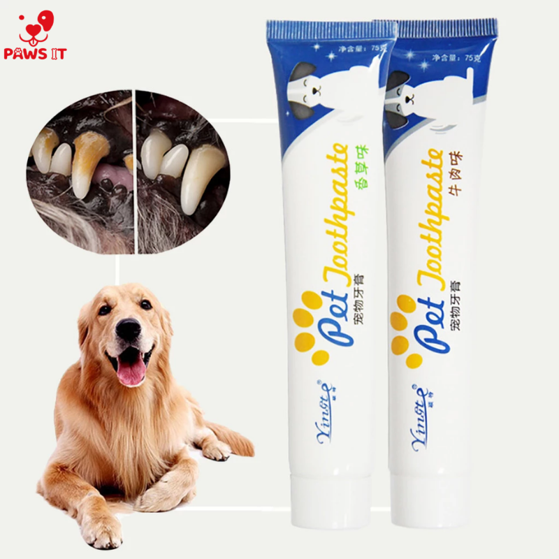 Is regular toothpaste clearance safe for dogs