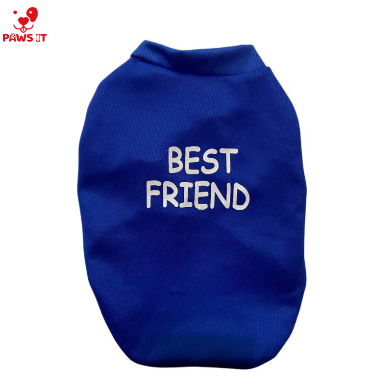 Bestfriend Blue Shirt