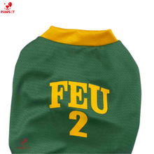 Load image into Gallery viewer, FEU Jersey Shirt
