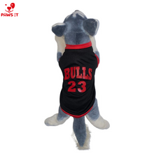 Load image into Gallery viewer, Chicago Bulls
