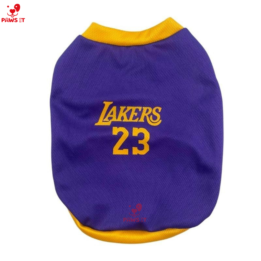 Lakers 23 Violet Yellow Jersey