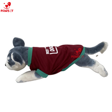 Load image into Gallery viewer, The Best Dog in the Galaxy Maroon Shirt
