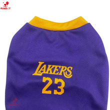 Load image into Gallery viewer, Lakers 23 Violet Yellow Jersey

