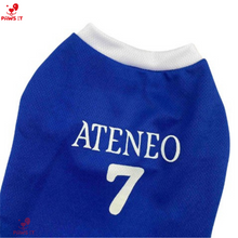Load image into Gallery viewer, Ateneo Jersey Shirt
