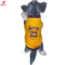 Load image into Gallery viewer, Lakers 23 Violet Yellow Jersey
