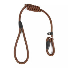 Load image into Gallery viewer, Pet Nylon Training Leash
