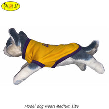Load image into Gallery viewer, Lakers 23 Yellow Gold
