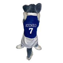 Load image into Gallery viewer, Ateneo Dress Blue Random Number
