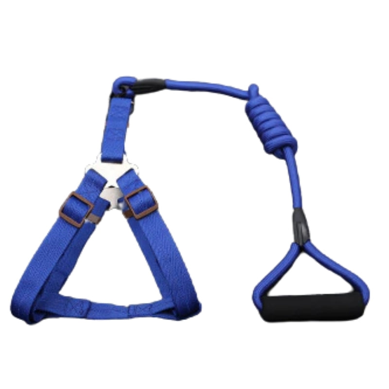 Round Harness with Leash