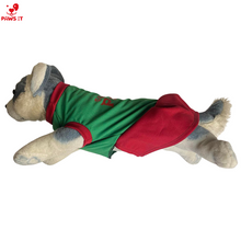 Load image into Gallery viewer, Santa Paws Green Dress
