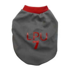 Load image into Gallery viewer, LPU Jersey Gray
